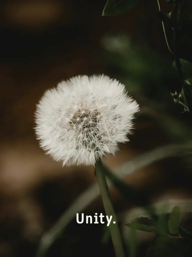 unity