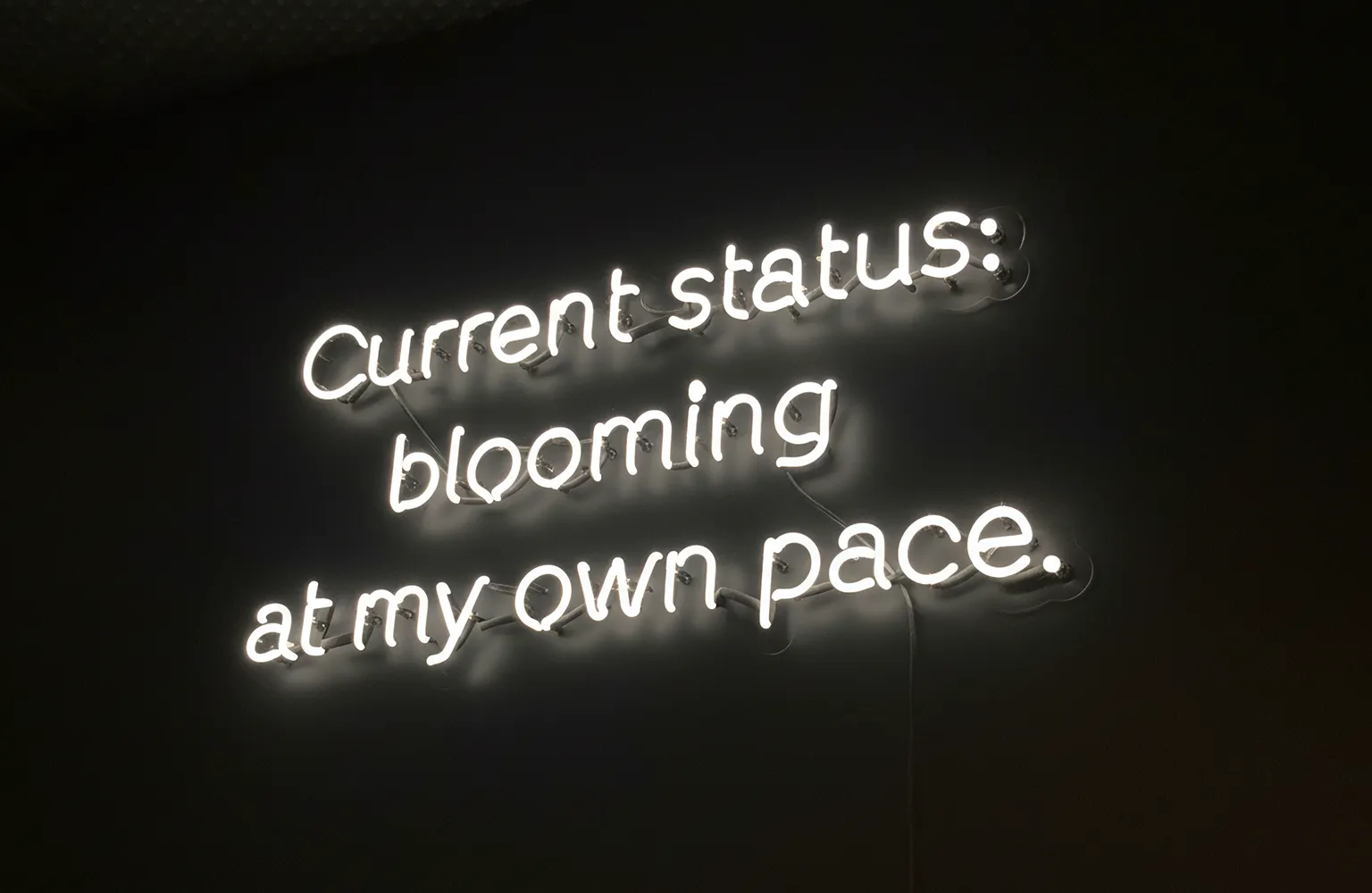 Neon sign displaying "Current Status: Blooming at My Own Pace," reflecting a positive and personal growth message.